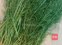 Pork and fennel dumplings recipe 2