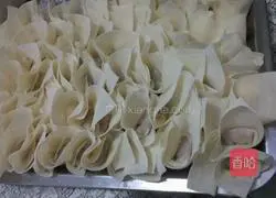 Illustration of how to make shrimp wontons 13
