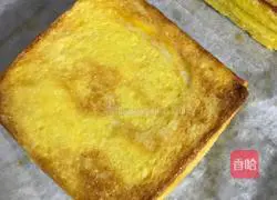 Toasted Sandwich Recipe Illustration 8