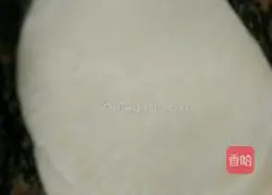 Fresh fruit honey pancake recipe 5