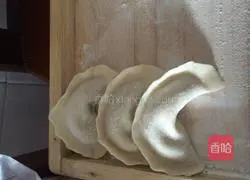 Pork Dumplings Recipe Illustration 8