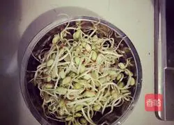 Illustration of how to make soybean sprouts and pork stewed vermicelli 1