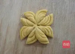 Illustration of how to make pumpkin and chrysanthemum steamed buns 13