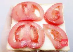 tomato Illustration of how to make falafel 3