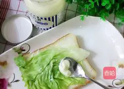 Illustration of making homemade sandwiches 6