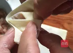 Illustration of how to wrap wontons 8