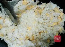 Egg Fried Rice Recipe Illustration 5