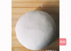 Illustration of how to make mushroom and beef dumplings 3