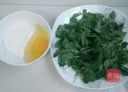 Alfalfa Egg Pancake Recipe Illustration 1