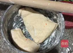 Illustration of homemade carrot noodles 3