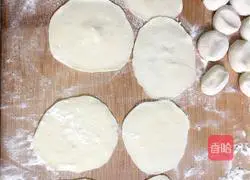 Double-fold dumpling wrapping method illustration 3