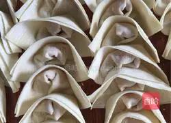 Illustration of how to wrap wontons 9