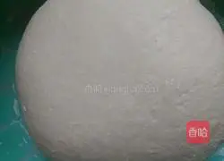 Illustration of how to make handmade dumplings 7