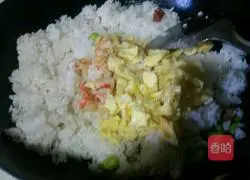 Assorted Fried Rice Recipe Illustration 6