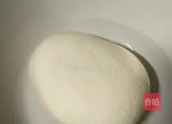 Illustration of how to make vegetarian dumplings 1