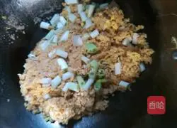 Soy sauce fried rice recipe 8