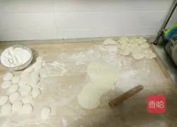 Illustration of how to make vegetarian dumplings 9