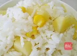 Illustration of rice cooker bone soup and potato braised rice 5