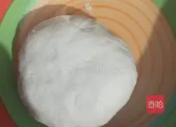 Pork and celery dumplings Practice illustration 2