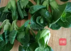 Illustration of home-cooked noodles 4