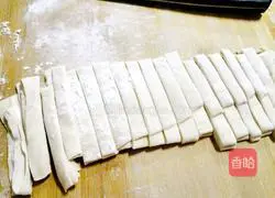 Illustration of hand-rolled noodles with sauce 4