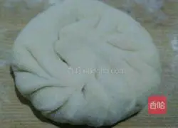 Pie...Illustration of how to make fennel stuffing 16