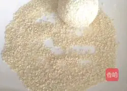 Illustration of Fried Sesame Rice Balls 10