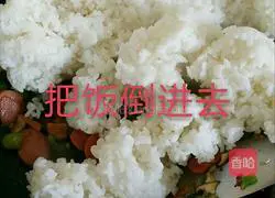 Illustration of homemade egg fried rice 12