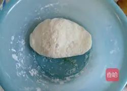 Illustration of how to make white radish, meat and vegetable dumplings 6