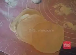 Pork and Shiitake Mushrooms Illustration of how to make dumplings 11