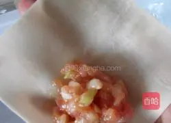 Illustration of how to make wontons 3