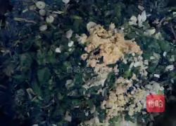 Illustration of how to make dumplings stuffed with wild vegetables 4