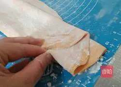 Illustration of homemade vegetable noodles 11