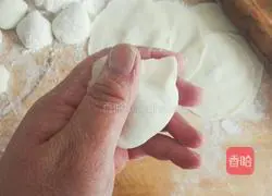 Illustration of Beef and Celery Dumplings 12