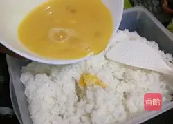 Illustration of how to make seaweed fried rice 3