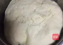 Beef and Onion Pie Recipe Illustration 5