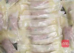 Illustration of how to make pot stickers and dumplings 7