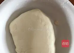 Illustration of how to make cabbage, mushroom and pork dumplings 1