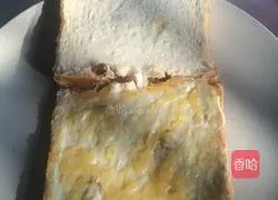 Sandwich recipe illustration 5