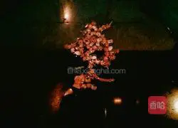 Illustration of how to make beef dumplings 2