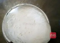 Vegetarian Illustration of how to make steamed buns 1