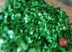 How to make pork and leek dumplings Illustration 6