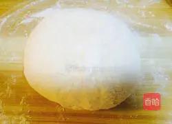 Illustration of how to make wontons 2