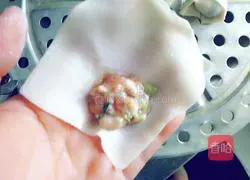 Illustration of how to make wontons 2 