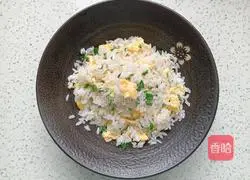 Egg Fried Rice Recipe Illustration 10