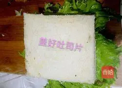 Hearty Sandwich (≧▽≦) Illustration 12