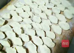 Illustration of how to make homemade vegetarian dumplings 4
