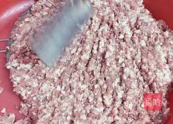 Illustration of how to make dumplings 3