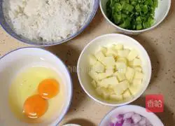 Assorted Fried Rice Recipe Illustration 1