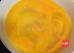 Egg Fried Rice Recipe Illustration 2